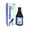 NEPHROWAYS SYRUP (200 ML)