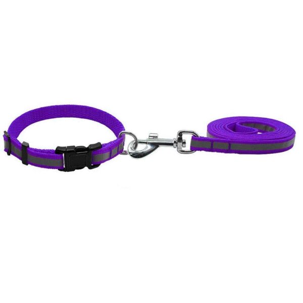 SMARTY PET COLLAR AND LEASH (15 MM)